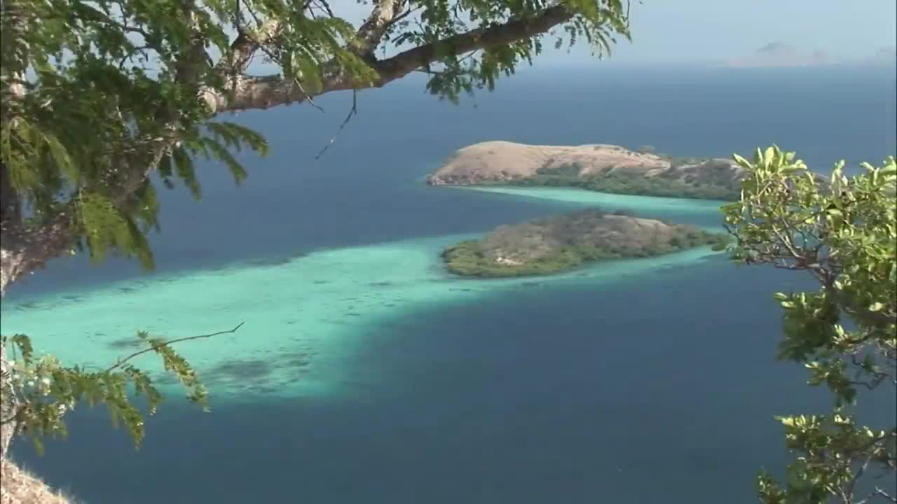 Wallacea The Mysterious Line Where Asia Meets Australasia  Full Documentary