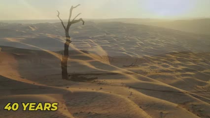 How China Turned the Desert into Green Forests - Digest The World