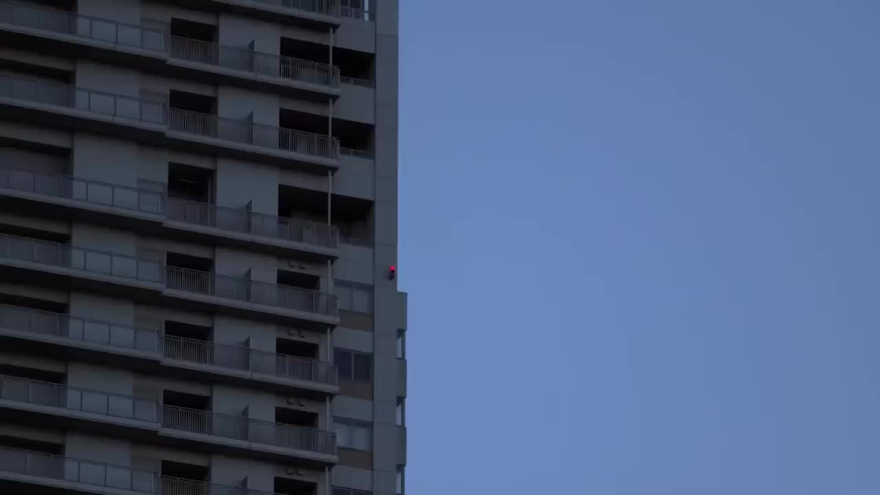 The Dark Predatory Side of Japan BBC Documentary