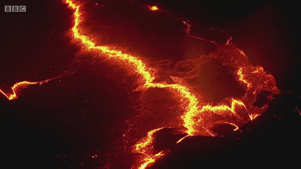Colour - The Spectrum of Science, Colours of Life-E02